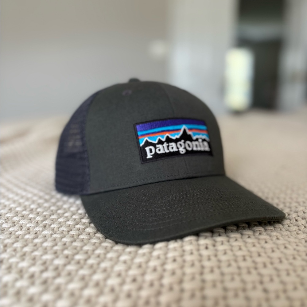 Patagonia Grey Trucker Hat